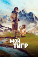 Мій тигр онлайн безкоштовно