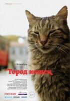 Місто котів онлайн безкоштовно