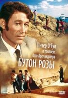 Бутон троянди онлайн безкоштовно