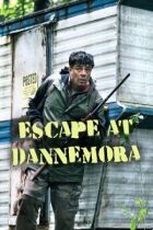 Втеча з в'язниці Даннемора онлайн безкоштовно