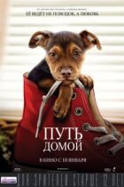 Шлях додому онлайн безкоштовно