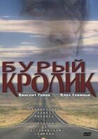 Бурий кролик онлайн безкоштовно