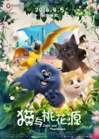 Кошачий рай онлайн безкоштовно