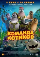 Команда котиків онлайн безкоштовно