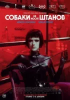 Собаки не носять штанів онлайн безкоштовно
