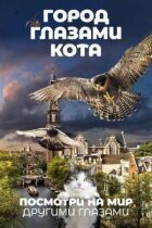 Місто очима кота онлайн безкоштовно