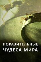 Вражаючі дива світу онлайн безкоштовно