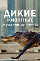 Дикі тварини: Завоювання мегаполісу онлайн безкоштовно