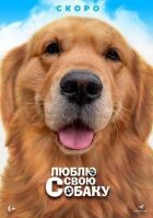 Люблю свою собаку онлайн безкоштовно