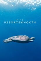 Світ безтурботності онлайн безкоштовно