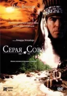 Сіра сова онлайн безкоштовно