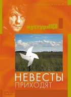 Наречені приходять онлайн безкоштовно