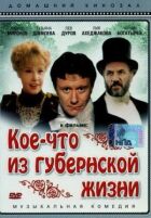 Дещо з губернського життя онлайн безкоштовно