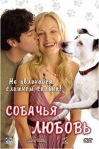 Собача любов онлайн безкоштовно