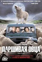 Паршива вівця онлайн безкоштовно