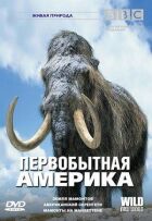 BBC: Первісна Америка онлайн безкоштовно