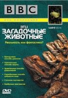 BBC: Ці загадкові тварини онлайн безкоштовно