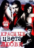Червоні кольори кохання онлайн безкоштовно