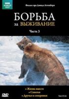 BBC: Боротьба за виживання онлайн безкоштовно