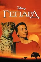 Гепард онлайн безкоштовно