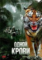 Однієї крові онлайн безкоштовно