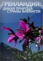 Гренландія: Дика природа країни вікінгів онлайн безкоштовно