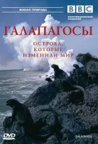 BBC: Галапагоси онлайн безкоштовно
