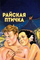 райський птах онлайн безкоштовно