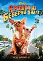 Крихітка з Беверлі-Гіллз онлайн безкоштовно