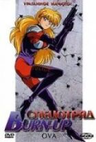 Спецзагін Burn-Up онлайн безкоштовно