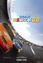 Nascar 3D онлайн безкоштовно