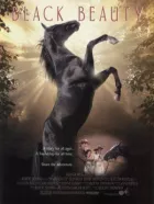 Чорний красень онлайн безкоштовно