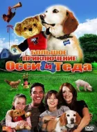 Велика пригода Оссі та Теда онлайн безкоштовно