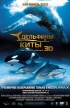 Дельфіни та кити 3D онлайн безкоштовно