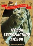 Стежкою безкорисливого кохання онлайн безкоштовно