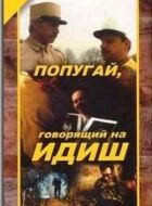 Папуга, що розмовляє їдишем онлайн безкоштовно