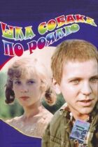 Йшов собака по роялю онлайн безкоштовно