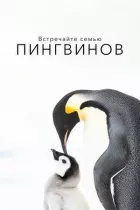 Зустрічайте сім'ю пінгвінів онлайн безкоштовно