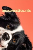 Знайомтеся, пес онлайн безкоштовно