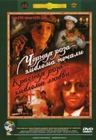 Чорна троянда - емблема печалі, червона троянда - емблема любові онлайн безкоштовно