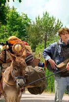 12 днів літа онлайн безкоштовно