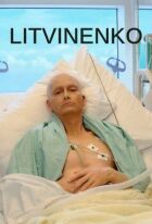 Литвиненко онлайн безкоштовно