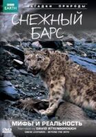 BBC: Сніговий барс: Міфи та реальності онлайн безкоштовно
