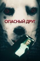 Небезпечний друг онлайн безкоштовно