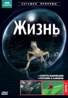 BBC: Жизнь онлайн безкоштовно