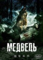 Ведмідь онлайн безкоштовно