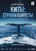 Кити: Вартові планети онлайн безкоштовно