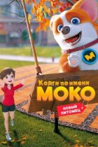 Коргі на ім'я Моко. Новий вихованець онлайн безкоштовно