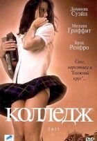 Коледж онлайн безкоштовно