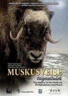 Повернення вівцебика онлайн безкоштовно